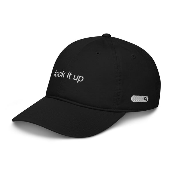 Look It Up Hat