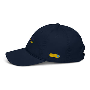 Look It Up | Limited Hat